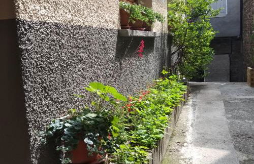 Casa Julio - Photo 9