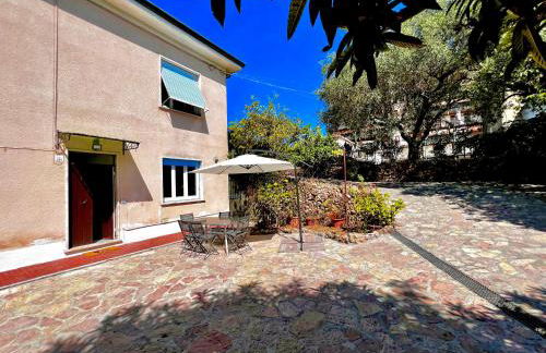 Il giardino delle Cycas - Foto 13