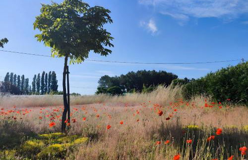 Le Grand Pré - Photo 12