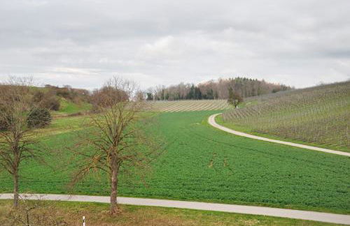 Ferienwohnung Strobel - Foto 6