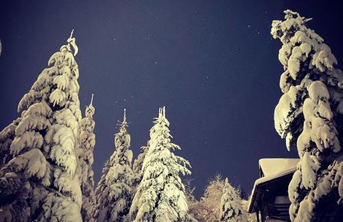 Mountain Cottage Lubomierz - Foto 50