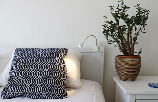 Silver Lining - Meadows Apartments - Photo 17