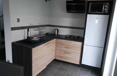 Całoroczne domy do wynajęcia - Foto 12