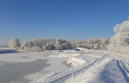 Orzechowy Dworek - Foto 25