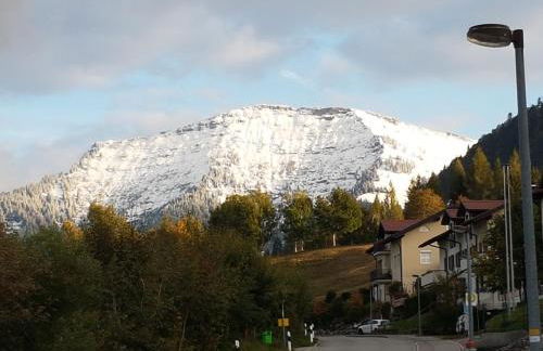 FeWo Allgäuzeit mit WLAN Oberstaufen Steibis - Foto 25