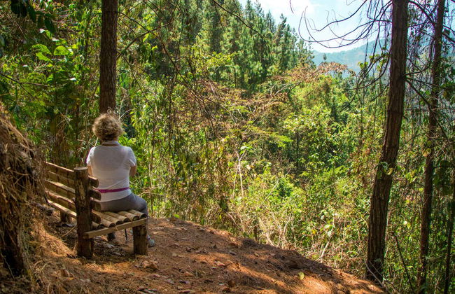 Senderismo por los cafetales de Salgar - Foto 8