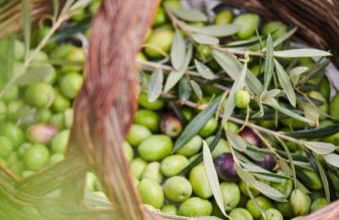 A CASA DI OLIVO - Foto 55