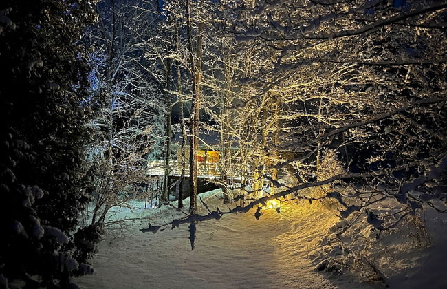 Hauser's Bayfield Cabin - Foto 59