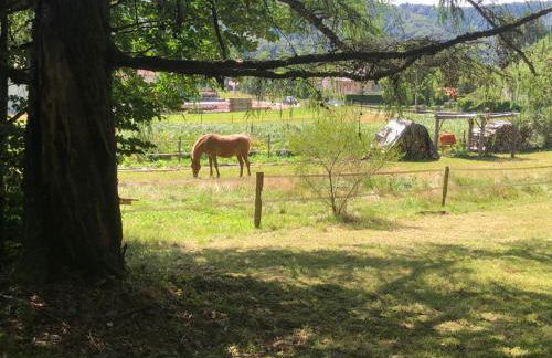 Au p’tit paradis - Foto 16