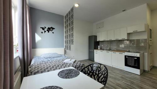 Apartamenty Parkowe nr 2 - Foto 3, stove