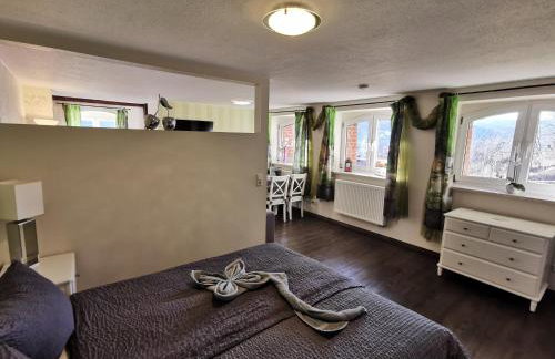 Apartments Villa-Ratskopf Wernigerode - Photo 67