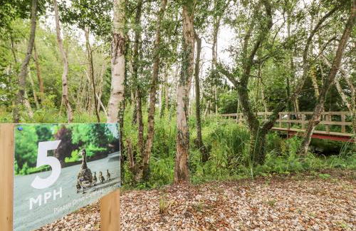 7 Wild Haven - Foto 38