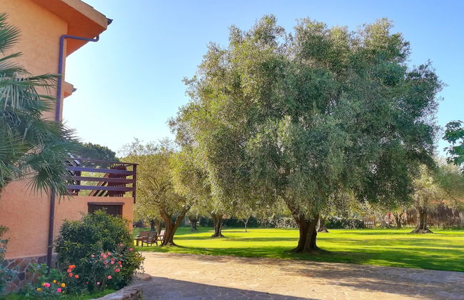 B&B Nuraghe Bianco - Foto 33