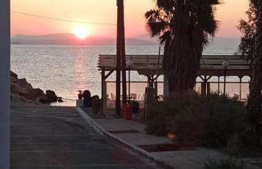 Dora's House - Photo 38