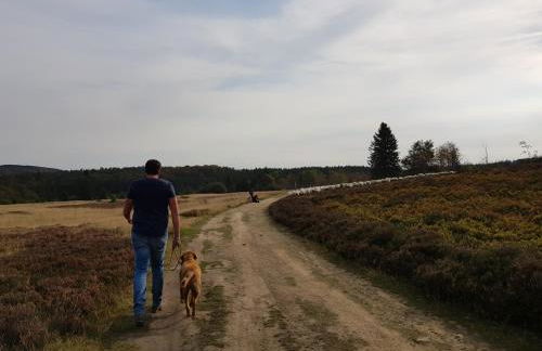 Ferienhaus 1000 Berge Winterberg Kamin & Whirlpool - Foto 40