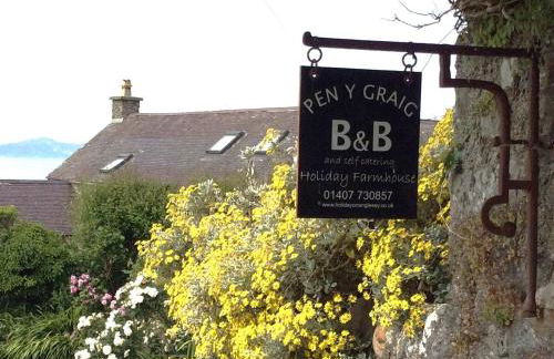 The Back Wing - Pen y Graig Farmhouse, Church Bay, sea views near beach No Pets - Foto 22