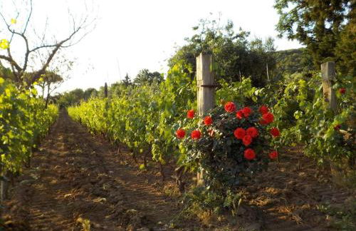 dalla campagna al mare - Foto 27