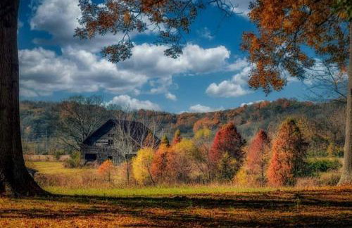 Gorgeous Tiny House with Indoor and Outdoor Lounging Space in Alabama - Foto 62