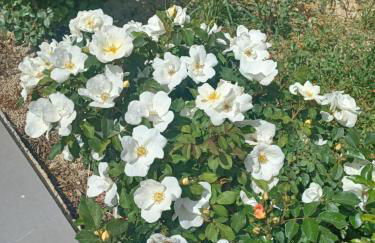 Zeituna Lodge a Porto Cesareo - Foto 14