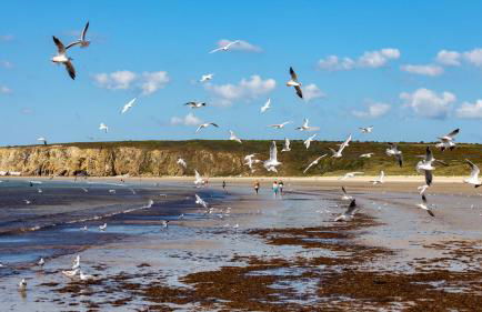 La Maison - Photo 10