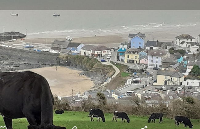 Newquay Haven Caravan 42x14 With Ocean Views - Foto 20