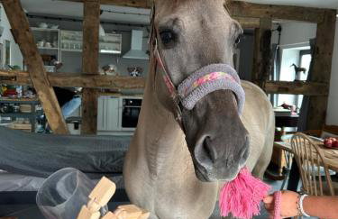 Winnica Bursztynowa - Foto 20