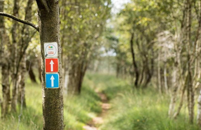 Holiday Home in Bad Bentheim With Sauna - Photo 23