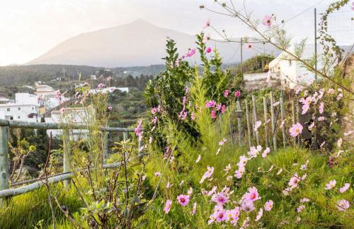 Espacio Antares - Foto 16