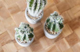 Minthi Boutique Apartments - Foto 24