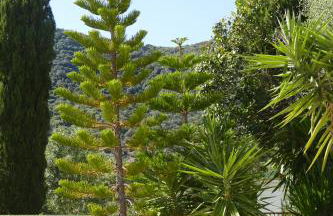 Residenza l 'Alivetu - Foto 48