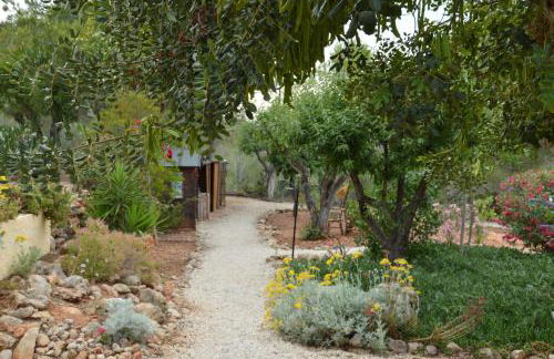 Finca Lliber - Foto 25