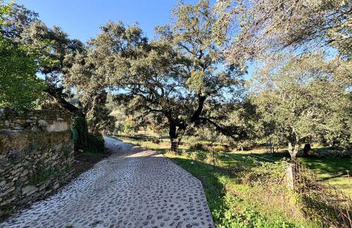 El Castañero Only Adults - Foto 16