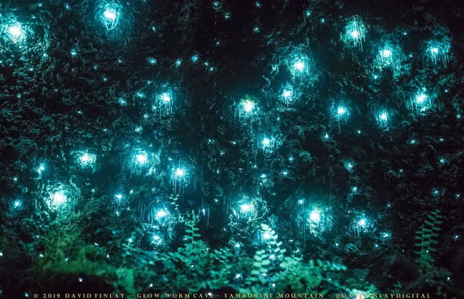 Shambala Estate - Photo 30