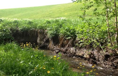 Tegernsee Chalet - Foto 50