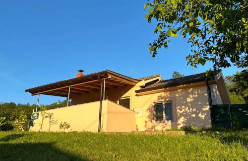 Terra Verde - Photo 26