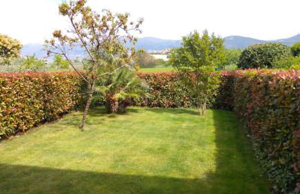 Un Angolo di Paradiso - Photo 19