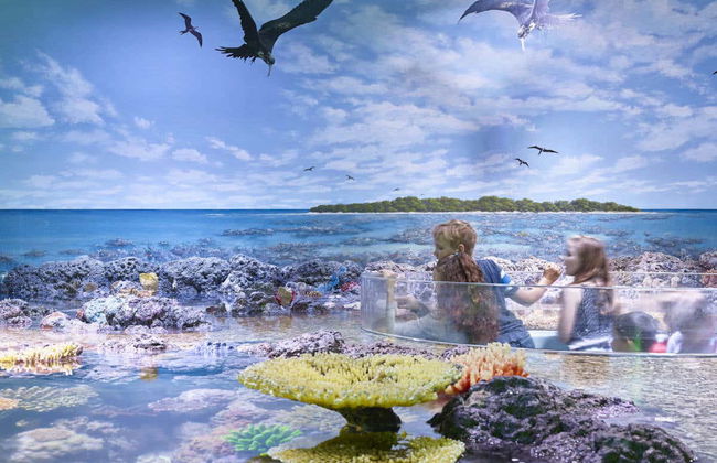 Entrada al Acuario de Cairns - Foto 9