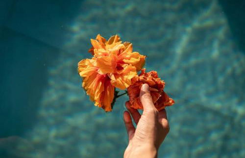 Enclave espectacular - Foto 24