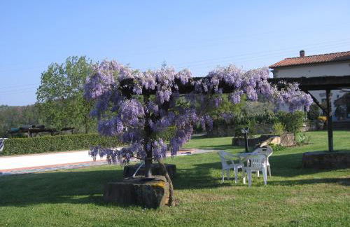 Agriturismo Villani Poderi Nesti & Cupoli - Photo 6