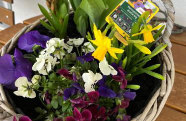 Apartment Vis-a-vis - Foto 22