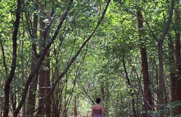 Oaza Święty Spokój - domek z balią i jacuzzi - Foto 41