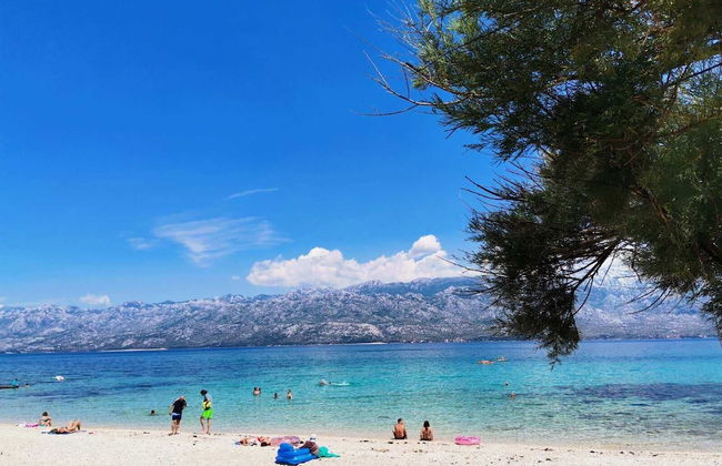 Apartments Tara - Foto 48