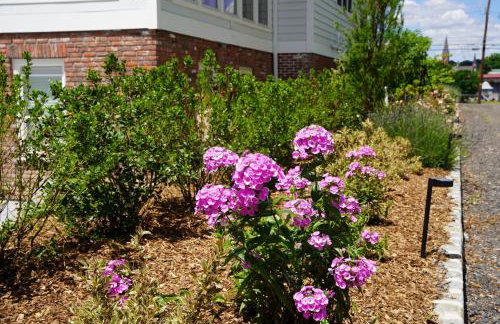 Parkway House Goshen Bed And Breakfast Suite 5 - Foto 52