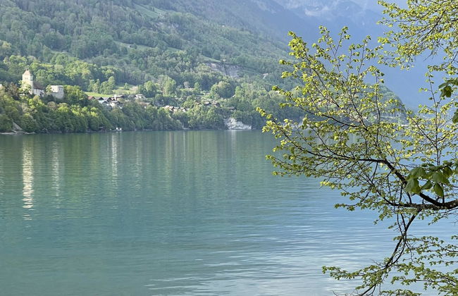 Panoramaferienwohnung Waldkircher - Foto 29