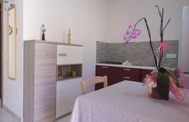 Aria di Vacanza - Zenzero - Photo 19