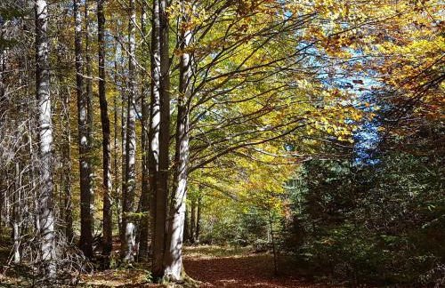 Gästehaus Alpvital - Foto 18