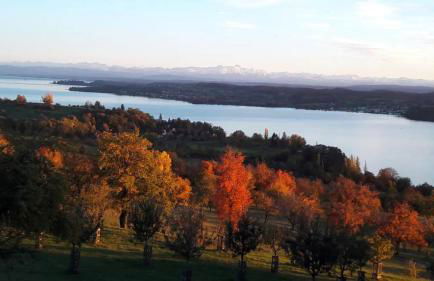 kleines Landhaus Bodensee - Foto 27