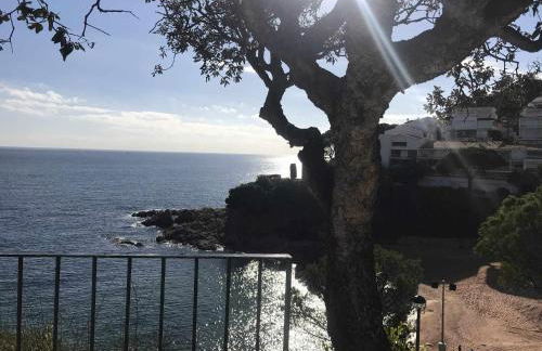 Espiga, Cala privada Tossa de Mar - Foto 39