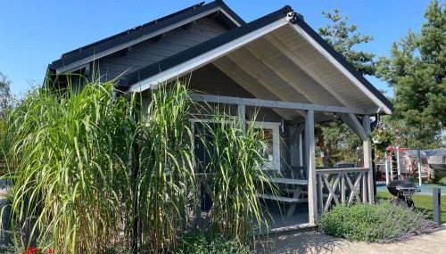 Przystanek Prawdowo - Foto 2, Garden, Garden view