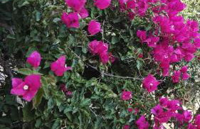 Tramonto Nel Delfini - Foto 62